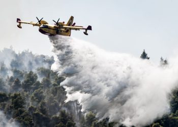 Πυρκαγιές σε όλη τη χώρα: Άμεση οριοθέτηση στη Μάνδρα, νέα μέτωπα σε Σαλαμίνα και περιφέρεια