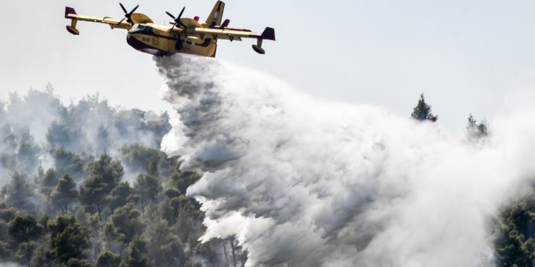 Πυρκαγιές σε όλη τη χώρα: Άμεση οριοθέτηση στη Μάνδρα, νέα μέτωπα σε Σαλαμίνα και περιφέρεια